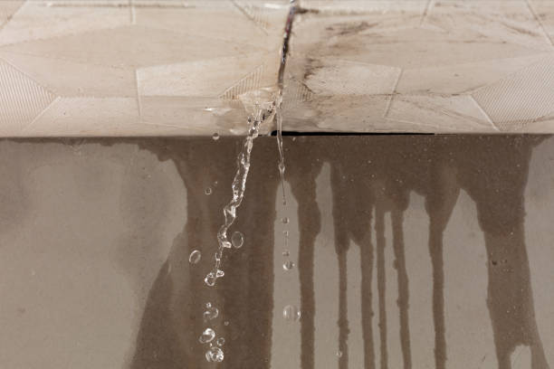 Professional Water Damage Inspection technician working in Hanover, MA